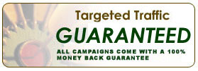 targeted traffic to your web site